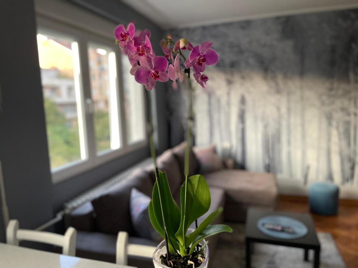 Apartman Avenia Novi Sad Luaran gambar